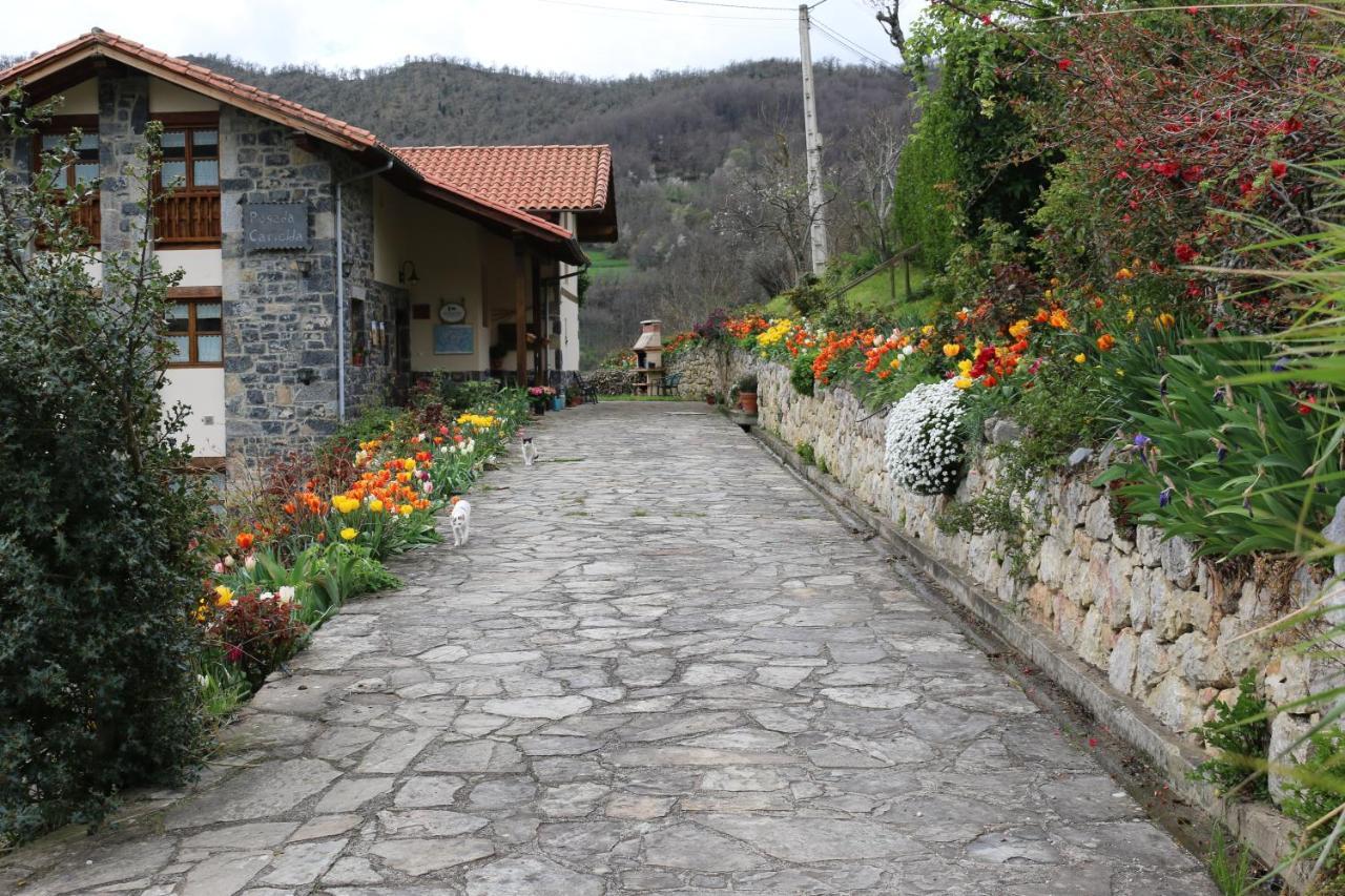 Penzion Casa Carielda Pembes Exteriér fotografie